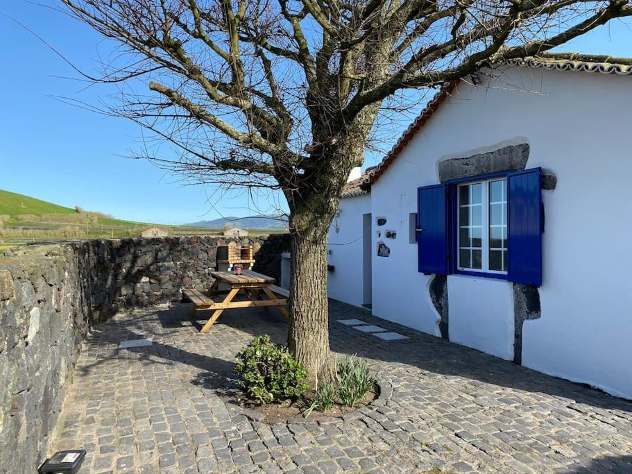 Vacas Felizes Villas - Casa Da Bilha Rabo de Peixe Exteriör bild